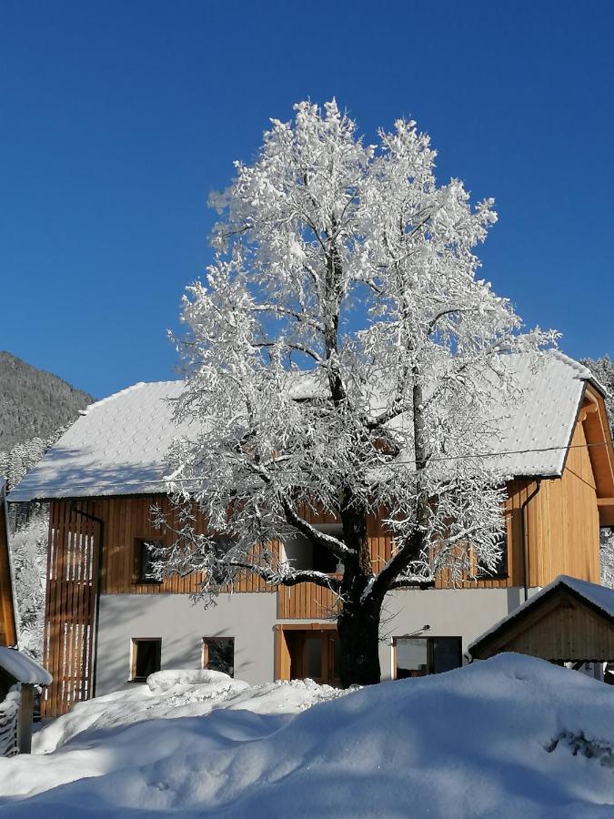 Apartments Gorski Raj Kranjska Gora Buitenkant foto