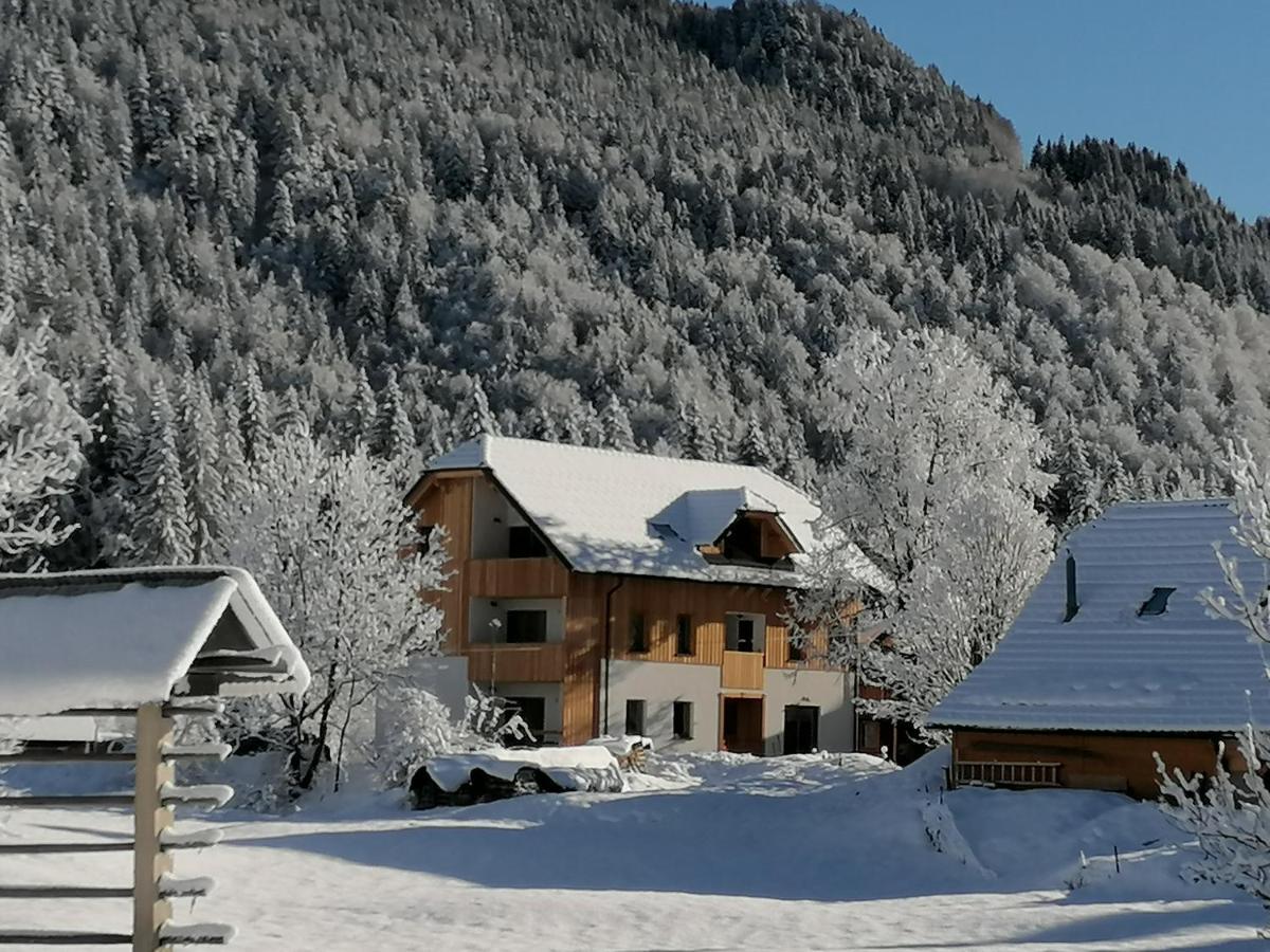 Apartments Gorski Raj Kranjska Gora Buitenkant foto