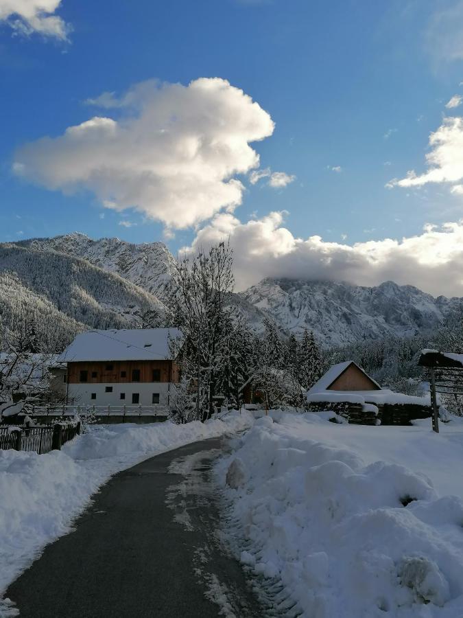 Apartments Gorski Raj Kranjska Gora Buitenkant foto